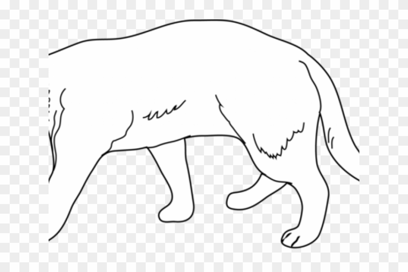 White Lion Clipart Lion Family - White Lion Clipart Lion Family #1547029