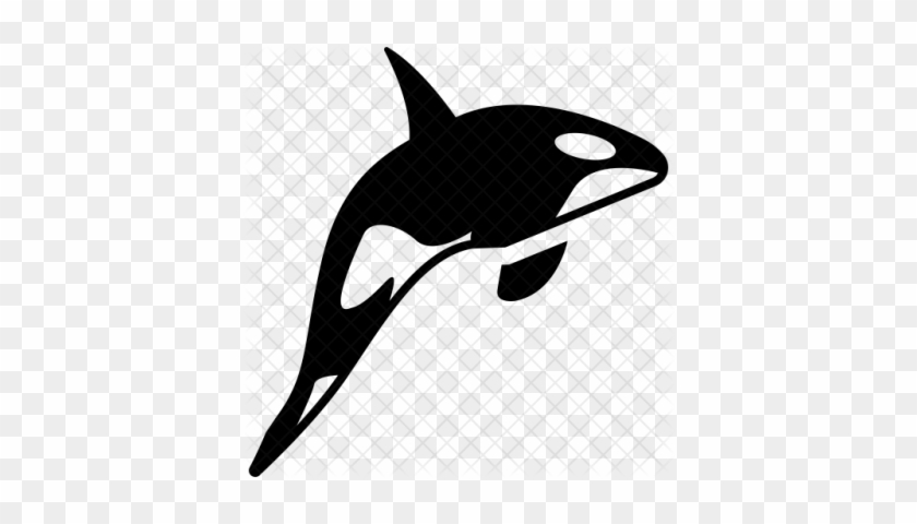 Killer Whale Png Transparent - Killer Whale Png Transparent #1547283