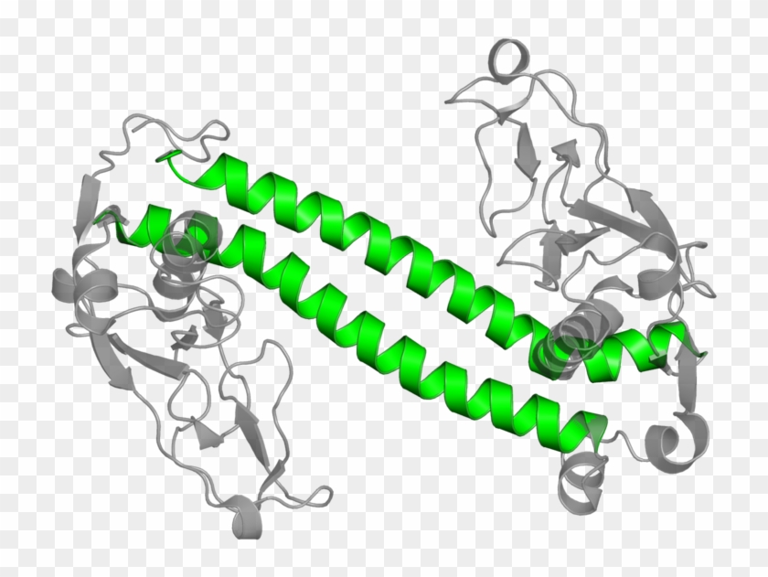 <div Class='caption-body'>1 Copy Of Cath Domain - <div Class='caption-body'>1 Copy Of Cath Domain #1547535