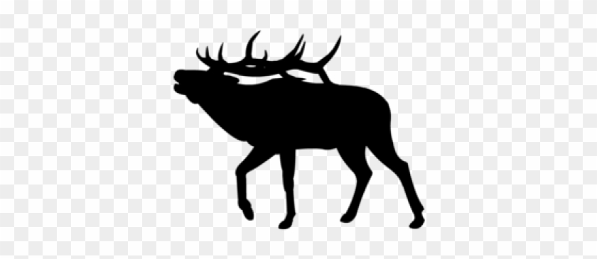 Elk Clipart - Elk Clipart #1547588