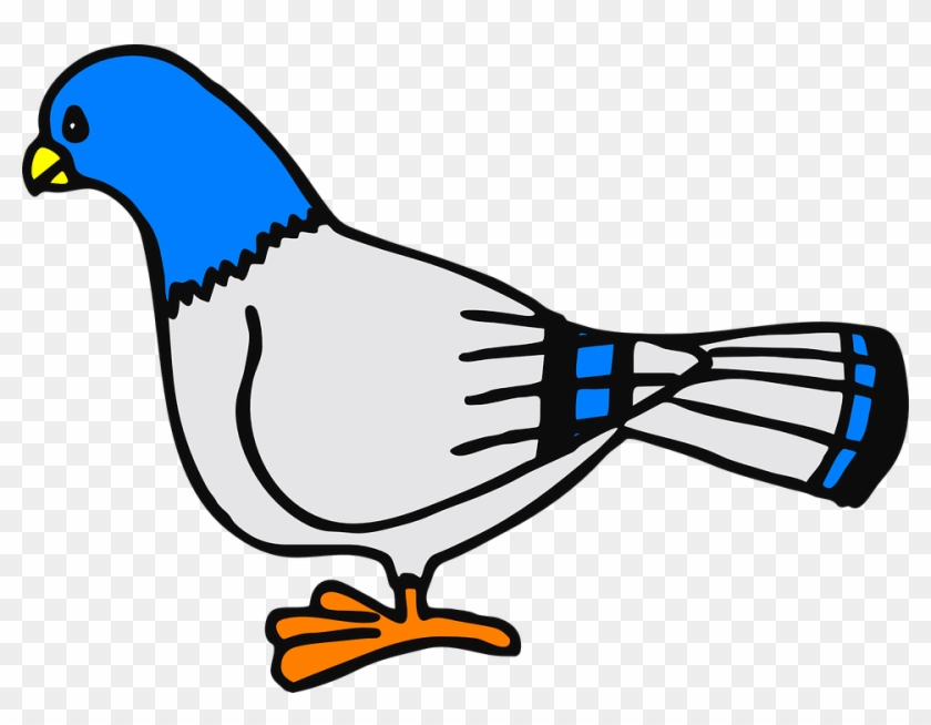 Dove Bird Animal - Dove Bird Animal #1547635