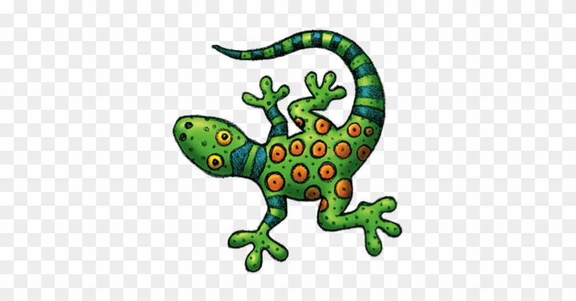 Gecko Am - Gecko Am #1547897