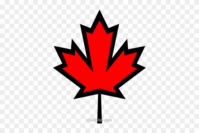 Canadian Maple Leaf Royalty Free Vector Clip Art Illustration - Canadian Maple Leaf Royalty Free Vector Clip Art Illustration #1547913