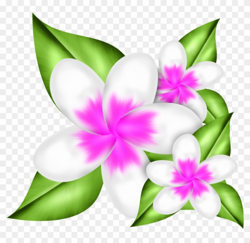 Exibir Todas As Imagens Na Pasta Purity In Pink - Exibir Todas As Imagens Na Pasta Purity In Pink #1547974