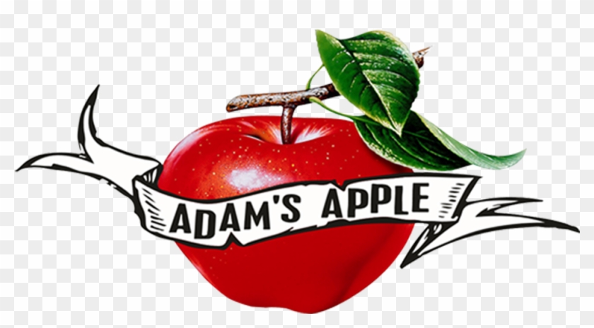 Adams Apple Llc - Adams Apple Llc #1548388