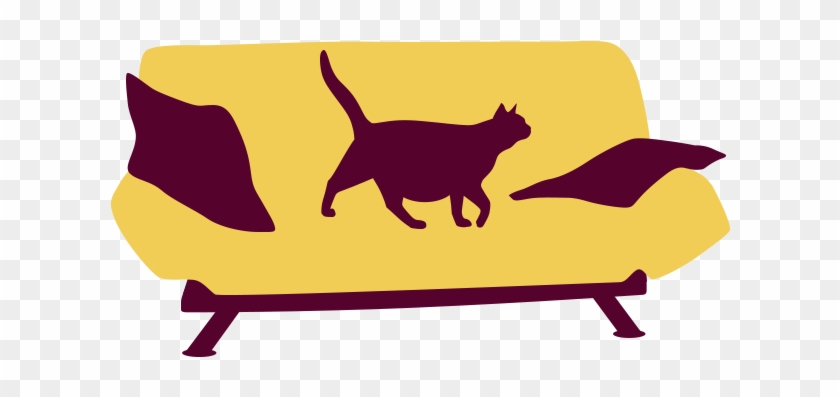 Is Your Cat An Indoor Or Outdoor Cat - Is Your Cat An Indoor Or Outdoor Cat #1548623