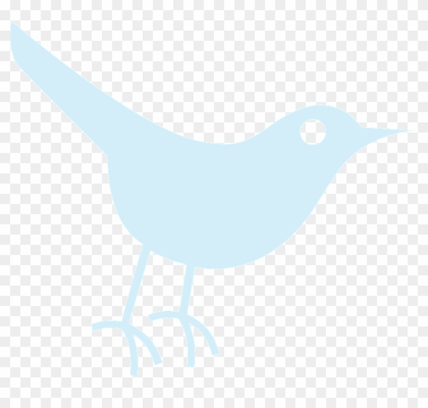Tweet Bird Free Vector Graphic On Pixabay - Tweet Bird Free Vector Graphic On Pixabay #1548835
