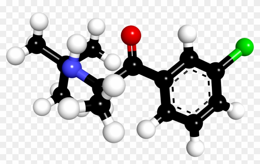 How Much Lasix For Dogs - How Much Lasix For Dogs #1549293