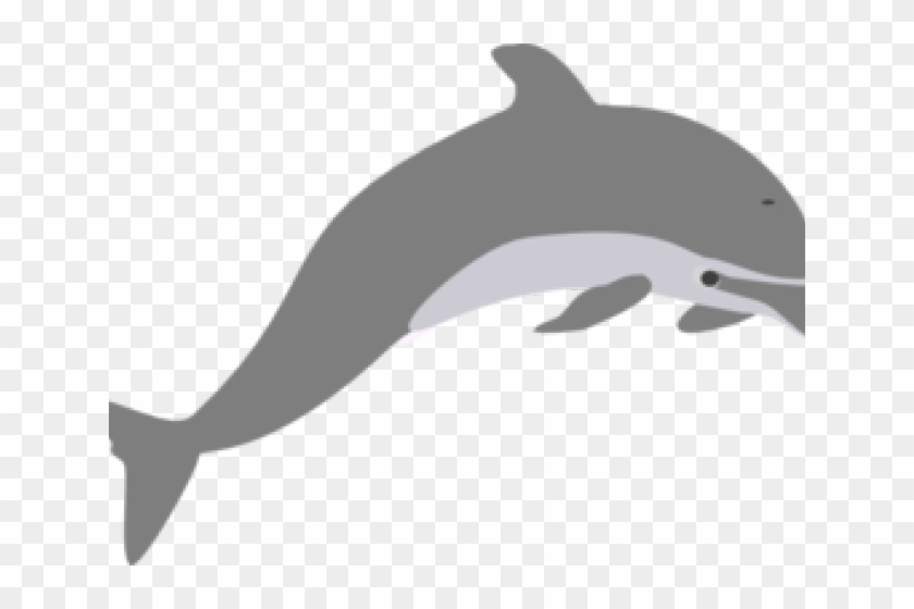 Grey Clipart Bottlenose Dolphin - Grey Clipart Bottlenose Dolphin #1549367