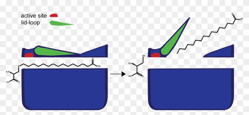 Clip Art Royalty Free File Clip Mechanism - Clip Art Royalty Free File Clip Mechanism #1549411