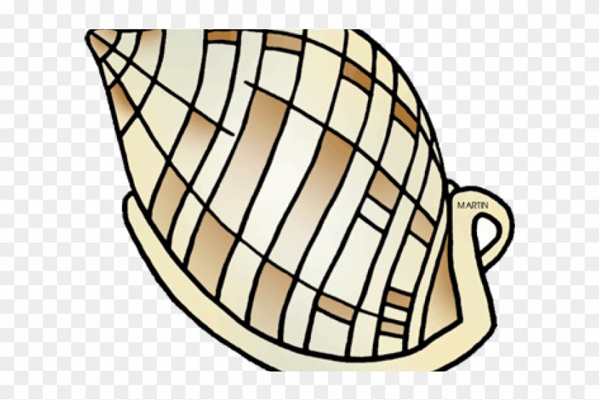 Shell Clipart Phillip Martin - Shell Clipart Phillip Martin #1549569