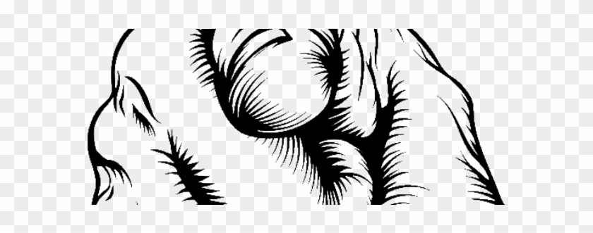 Church News - Church News #1549601