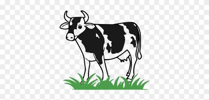 Holstein Friesian Cattle Baka Taurine Cattle Dairy - Holstein Friesian Cattle Baka Taurine Cattle Dairy #1549887
