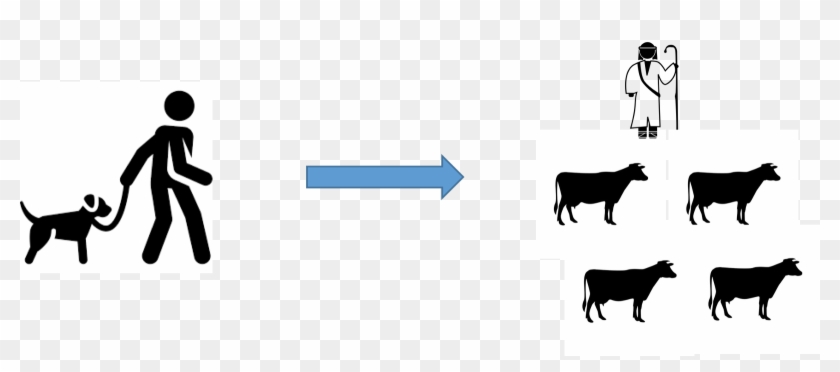 From Being A Pet Owner To Becoming A Herdsman - From Being A Pet Owner To Becoming A Herdsman #1549902