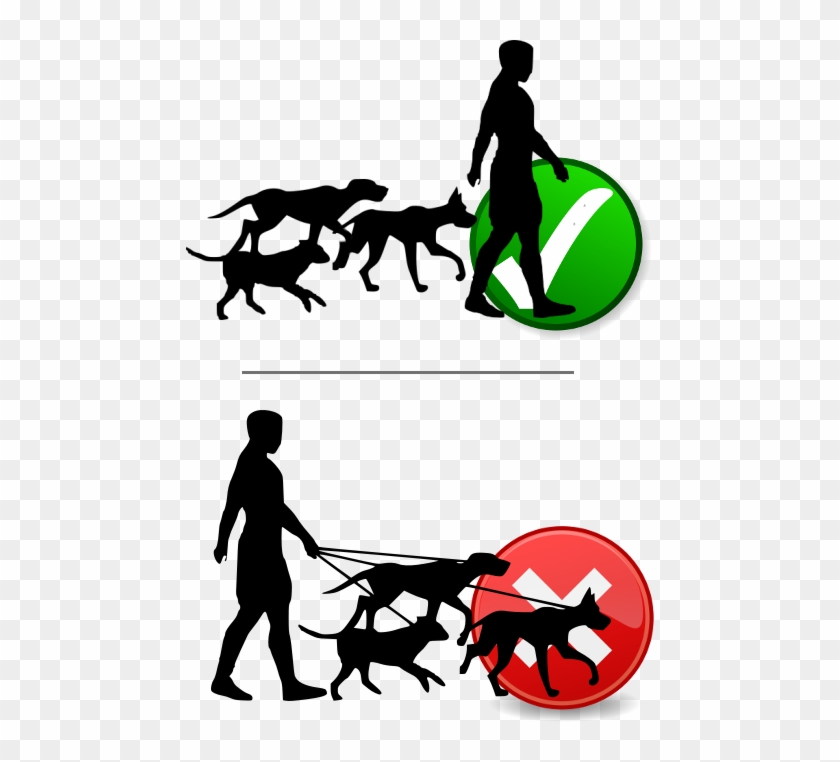 Instructions For Dog Owners Royalty Free Download - Instructions For Dog Owners Royalty Free Download #1549917