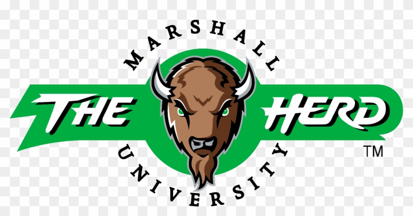 Cos It Center - Cos It Center #1549918