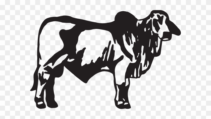 Cattle Clipart Brahman Cow - Cattle Clipart Brahman Cow #1549927
