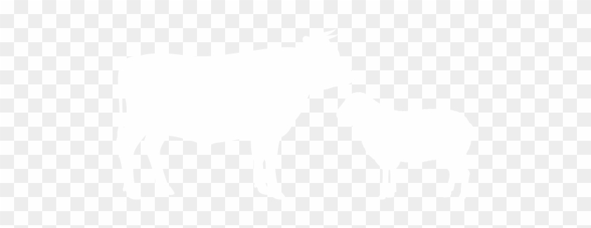 Trading Hours - Trading Hours #1549931