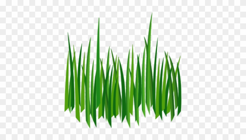 Grass Png Image Green Grass Png Picture - Grass Png Image Green Grass Png Picture #1549985
