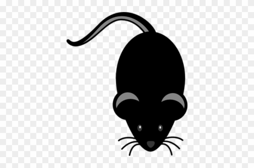 Black Mouse Light Grey Eyes Clip Art At Clipartimage - Black Mouse Light Grey Eyes Clip Art At Clipartimage #1550261