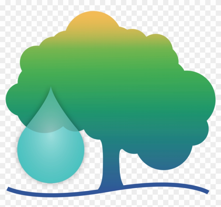 4 Tips To Save Water And Save Trees - 4 Tips To Save Water And Save Trees #1550359