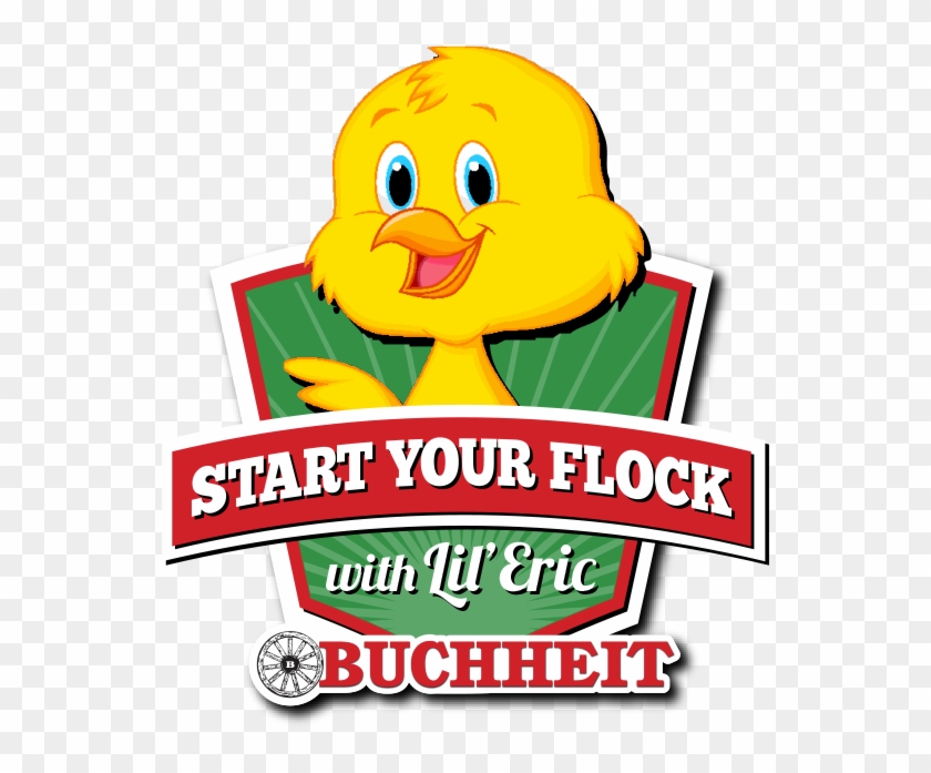 Start Your Flock With Lil' Eric - Start Your Flock With Lil' Eric #1550681
