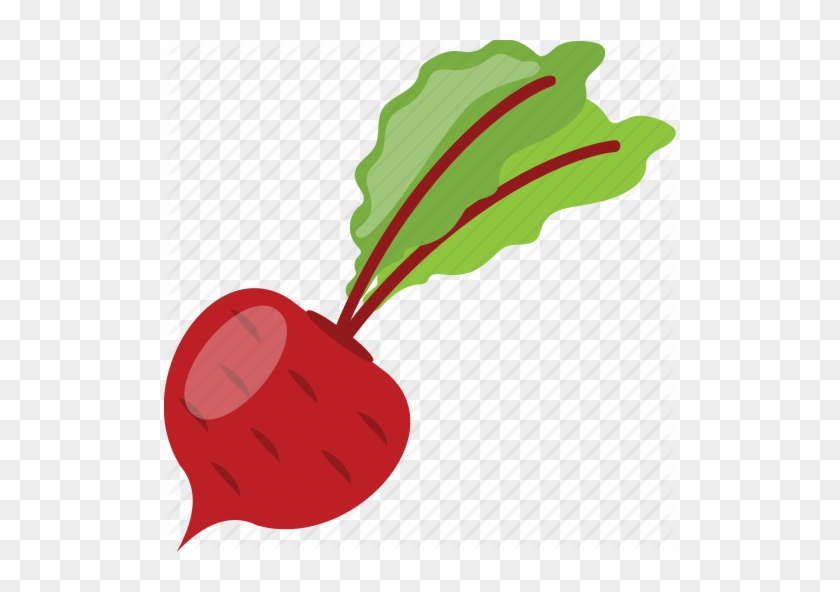 Beet Vector - Beet Vector #1550738