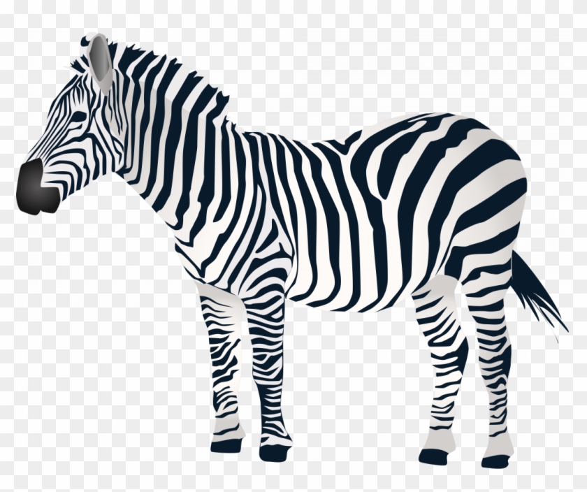 Large Size Of How To Draw A Zebra Print Animal Patterns - Large Size Of How To Draw A Zebra Print Animal Patterns #1550847
