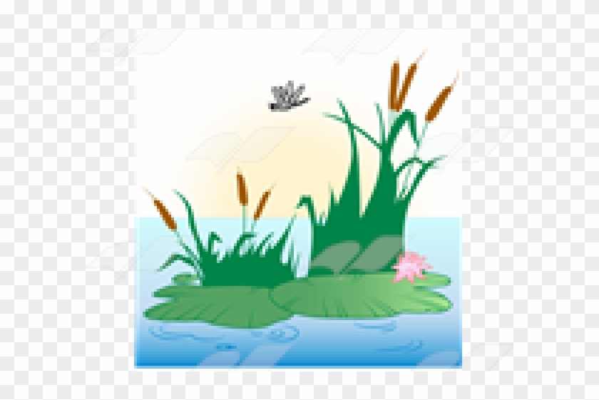 Lily Pad Clipart Pond Scene - Lily Pad Clipart Pond Scene #1550962