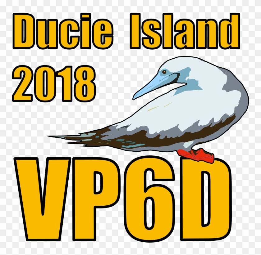 Vp6d Compte Rendu D'expédition À L'île Ducie - Vp6d Compte Rendu D'expédition À L'île Ducie #1550976