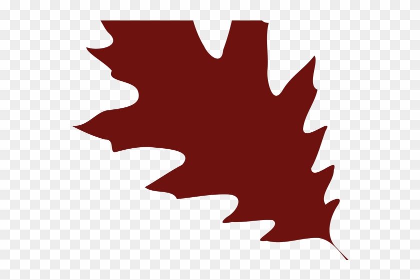 Resume Clipart Red Oak Tree - Resume Clipart Red Oak Tree #1551152