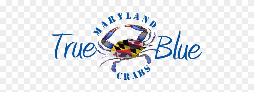 Live Crabs True Participant - Live Crabs True Participant #1551445