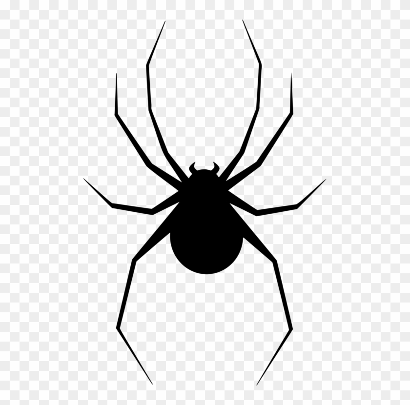 Widow Spiders Silhouette Spider Web Arthropod - Widow Spiders Silhouette Spider Web Arthropod #1551618