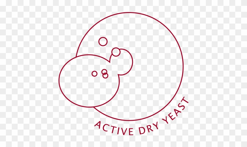 Active Dry Yeast 1 - Active Dry Yeast 1 #1551735