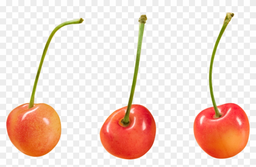 Download Cherry Clipart Png Photo - Download Cherry Clipart Png Photo #1551823
