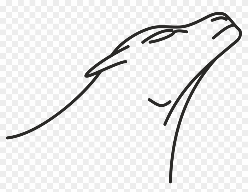 Line Art Drawing Lion Monochrome - Line Art Drawing Lion Monochrome #1552105