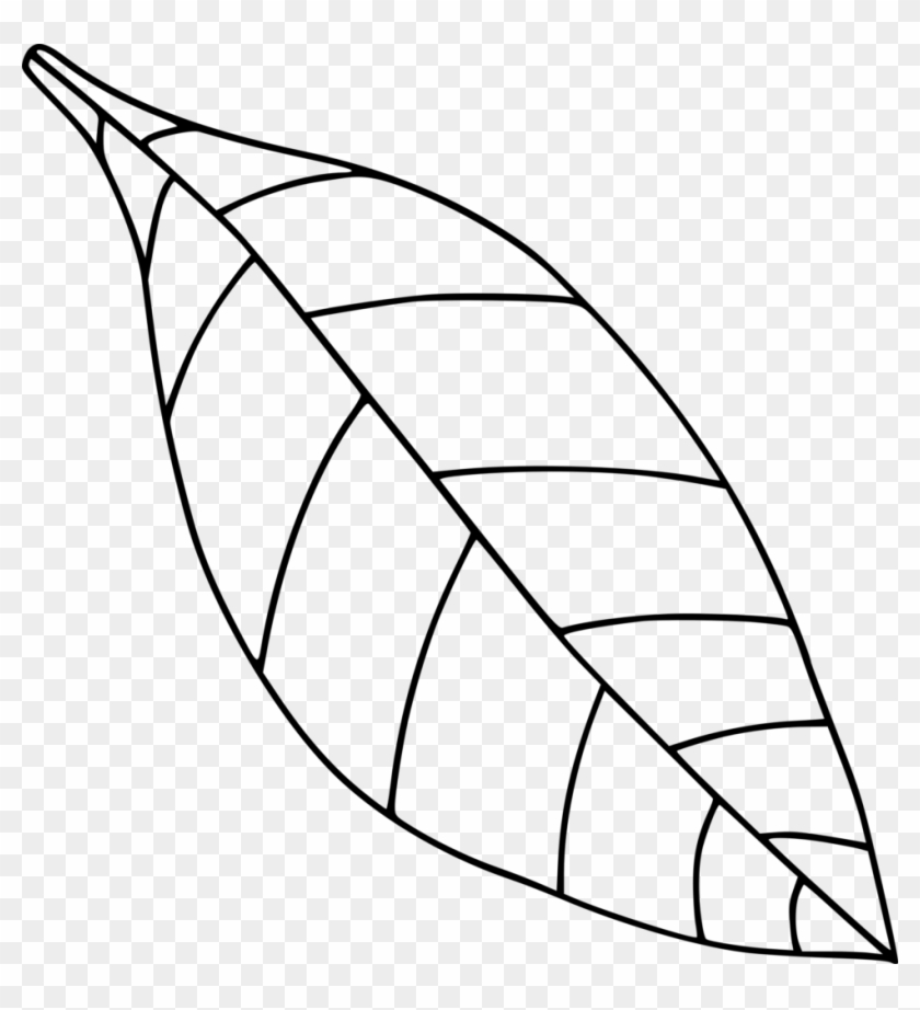 Autumn Leaf Color Drawing Black And White - Autumn Leaf Color Drawing Black And White #1552425