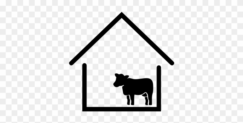 T-bone Steak - T-bone Steak #1552542