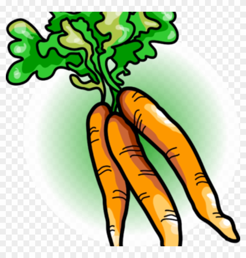 Carrot Clipart Free Carrot Clipart Image Carrots Food - Carrot Clipart Free Carrot Clipart Image Carrots Food #1552852
