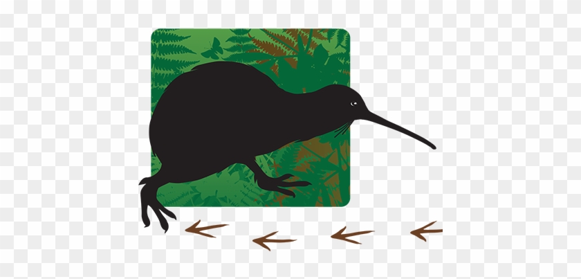 'follow A Kiwi' Family Sponsorship - 'follow A Kiwi' Family Sponsorship #1553125