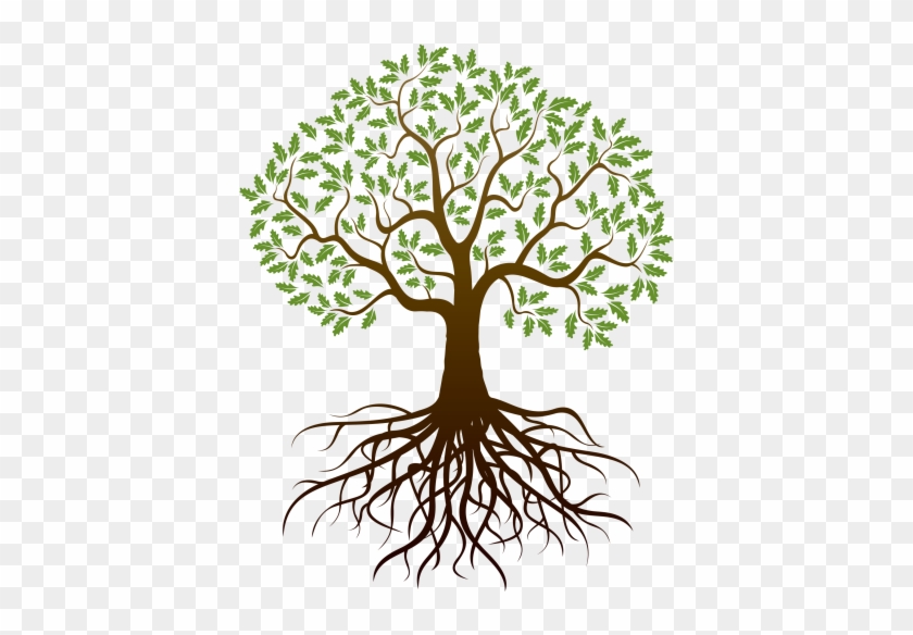 Tree Root Png - Tree Root Png #1553231
