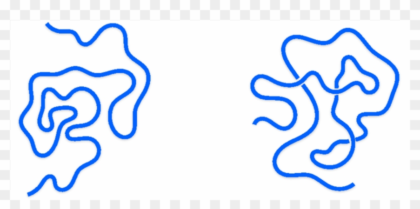 Universality Class Of The Two Dimensional Polymer Collapse - Universality Class Of The Two Dimensional Polymer Collapse #1553239