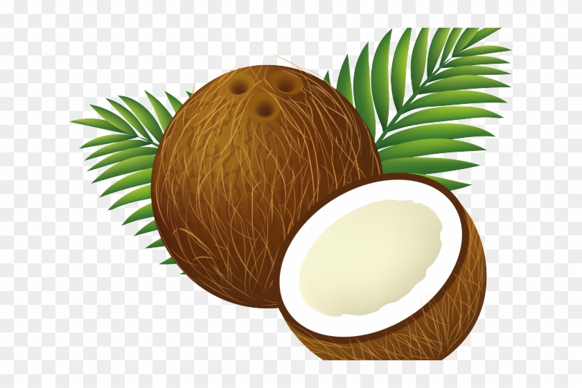Coconut Clipart Clip Art - Coconut Clipart Clip Art #1553284