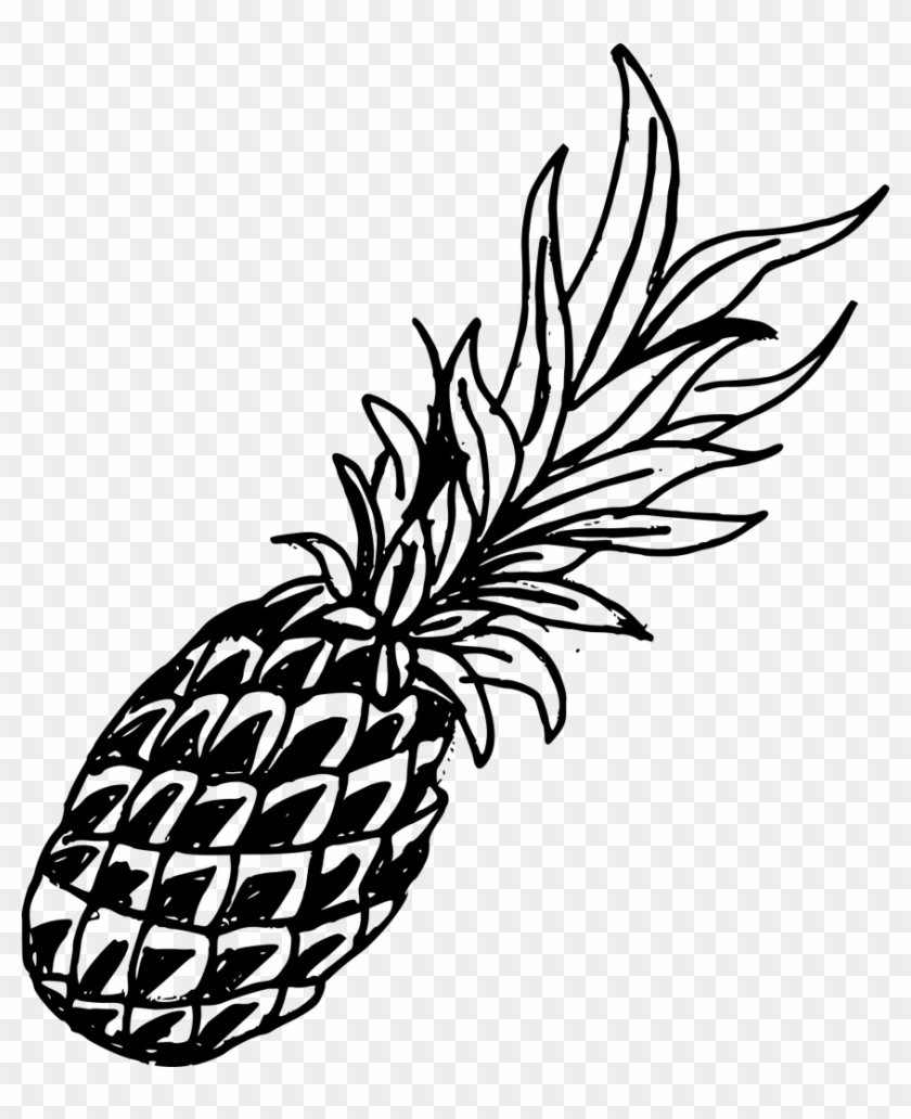 Pineapple Clipart Drawn - Pineapple Clipart Drawn #1553337