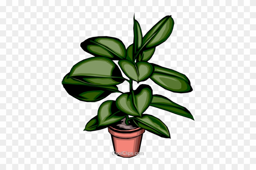 Potted Plant Clipart - Potted Plant Clipart #1553843