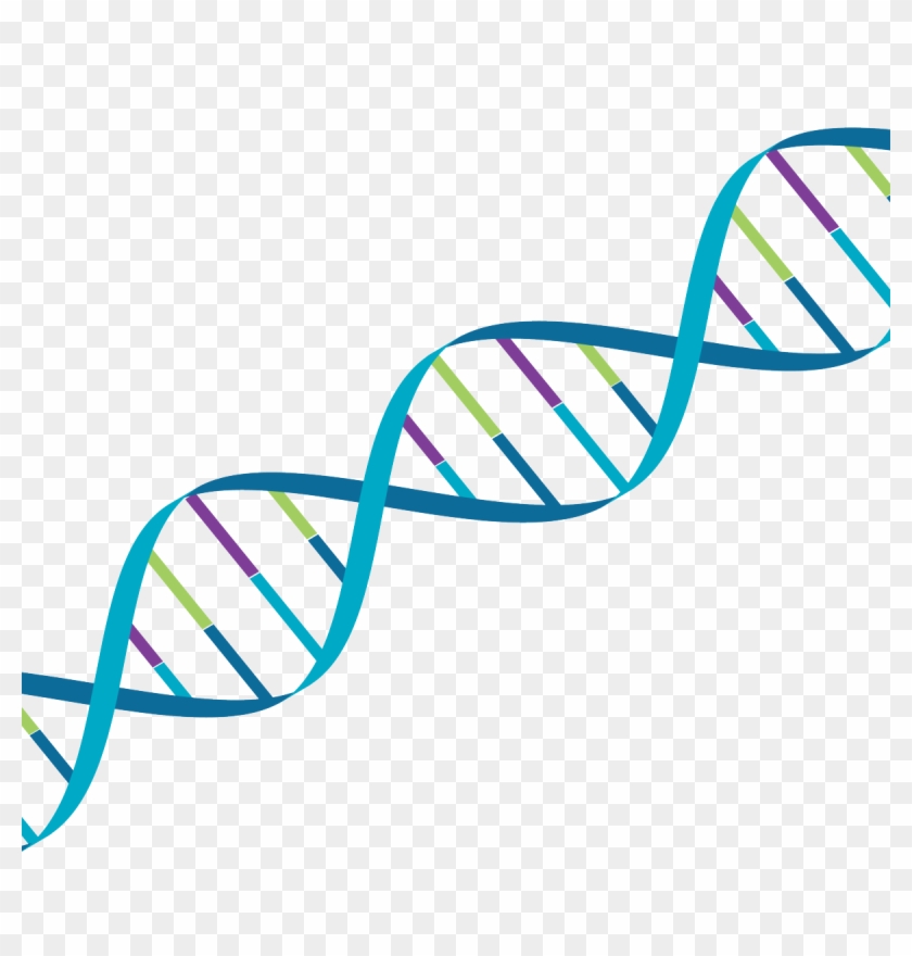 Mpsiiib Sanfilippo Now Included In Orchard Therapeutics - Mpsiiib Sanfilippo Now Included In Orchard Therapeutics #1554225