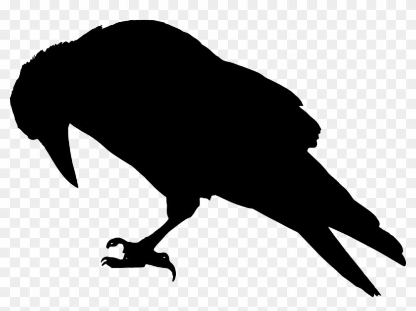 Animal-1782020 960 720 - Animal-1782020 960 720 #1554415