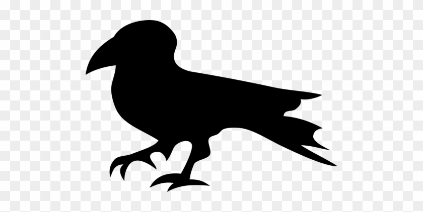 Bird,animals,beak,black - Bird,animals,beak,black #1554418