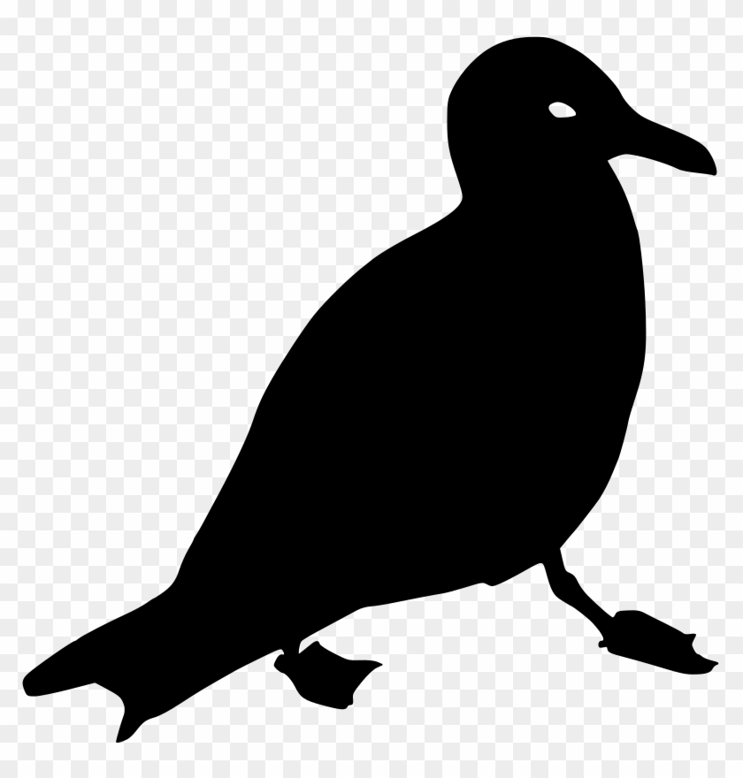 Free Horned Grebe Free Goeland - Free Horned Grebe Free Goeland #1554422