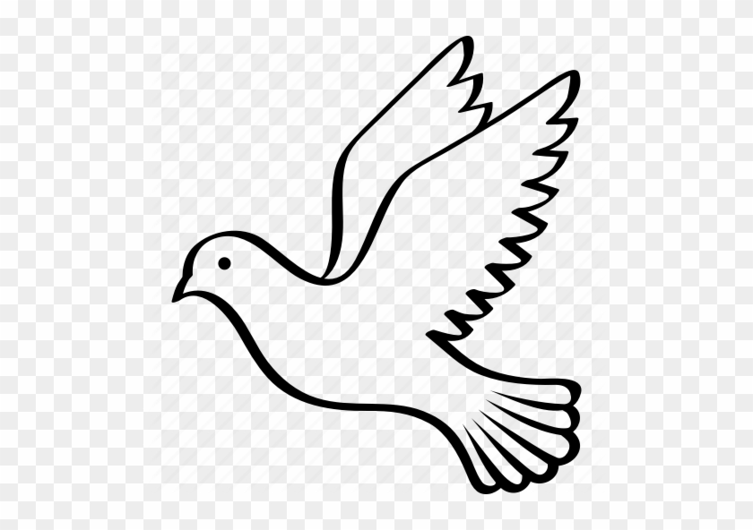 Bird Columbidae Flying Peace - Bird Columbidae Flying Peace #1554441